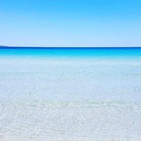 Holiday home Amazing House 10 Min By Car From The Olbia