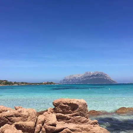 Amazing House 10 Minutes By Car From The Olbia