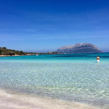 Amazing House 10 Minutes By Car From The Olbia