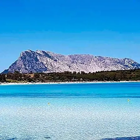 Amazing House 10 Minutes By Car From The Olbia