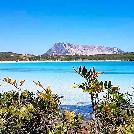 Amazing House 10 Minutes By Car From The Holiday home Olbia