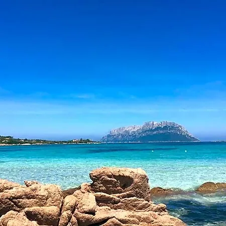 Amazing House 10 Minutes By Car From The Holiday home Olbia