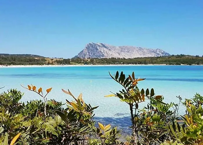 Amazing House 10 Min By Car From The Vakantiehuis