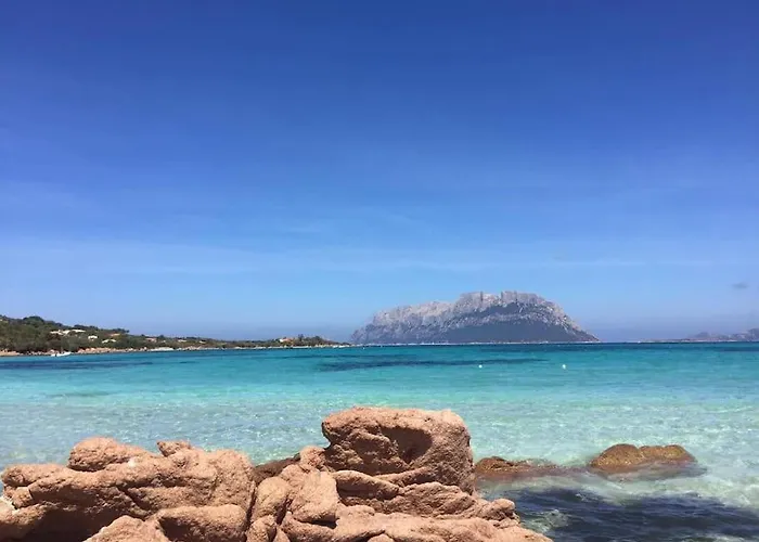 Amazing House 10 Min By Car From The Olbia