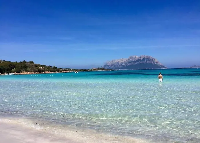 Amazing House 10 Min By Car From The Olbia